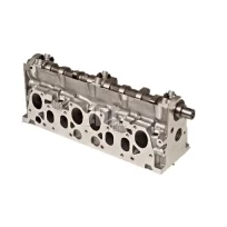 CYLINDER HEAD KIT TORO GROUNDSMASTER PEUGEOT XUD9 ENGINE > FULLY ASSEMBLED