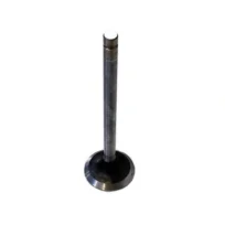 INLET / EXHAUST VALVES TORO GROUNDSMASTER 3000D PEUGEOT TUD5 ENGINE