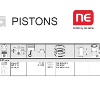 PISTON SET PEUGEOT XUD9 ENGINE