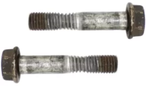 Head Bolts Replacement Advice